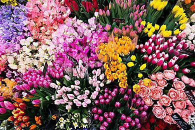 《Exoprimal》关于公测与预售开启的最新消息以及解决联机卡顿闪退的方法介绍